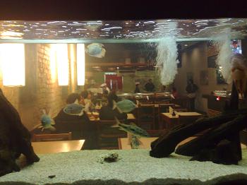 09102009018-350x262 Restaurante "japonês para japoneses"